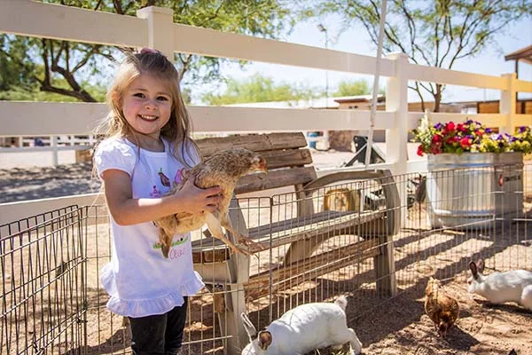 Girl holding chicken