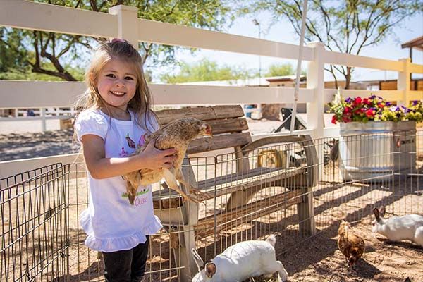 Girl holding chicken
