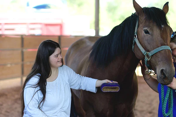 Girl brushing horse