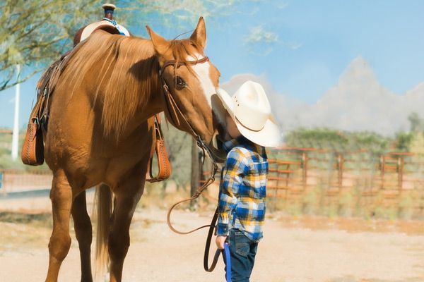 Child with horse