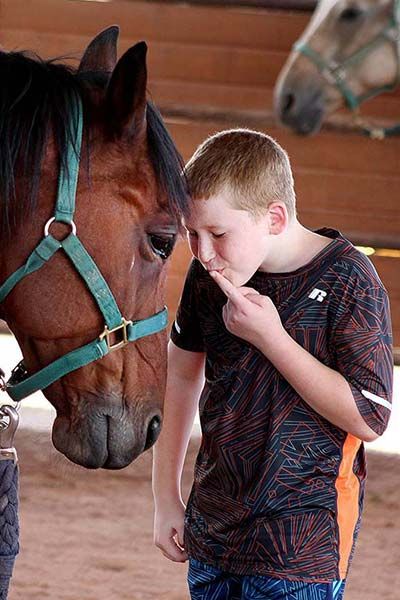 Boy with horse