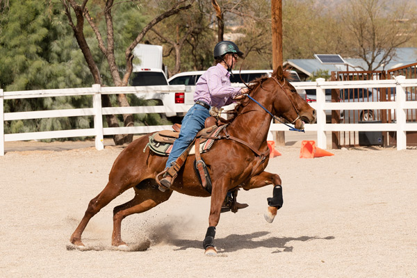 Horseback riding