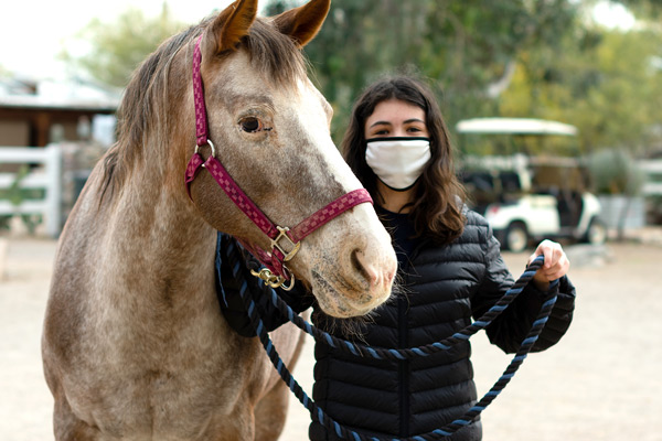Girl with horse