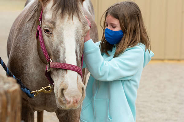 Girl petting horse